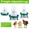 ZenxyHoC Chick Feeder and Waterer Kit, 1L Chick Feeder and