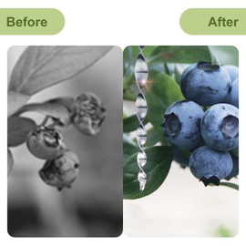 OFFO Large Bird Scarer Rods, 15.7 in (10 Pcs) Reflective Bird Device Outdoor Bird Scarer to Keep Pigeon and Woodpecker Away from Garden or Yard, Blue