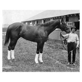 MAN O WAR CHAMPION THOROUGHBRED RACE HORSE 1920 8X10 PHOTO