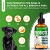 Probiotics for Dogs | Liquid Probiotics for Dogs and Puppies