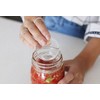 Fermenting Weights,Pack of 4 Glass Fermentation Weights for Large Wide