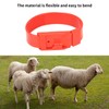 10Pcs Goat Collar Sheep Identification Bands Livestock Marking Ring Farming