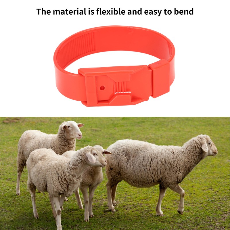 10Pcs Goat Collar Sheep Identification Bands Livestock Marking Ring Farming