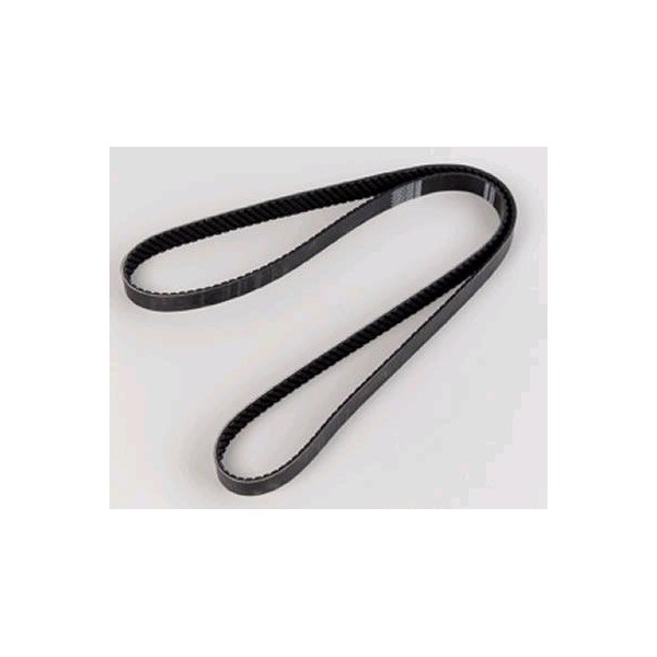 Continental Elite 4070362 Poly-V/Serpentine Belt
