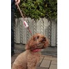 Pet Line Dog Heatstroke Checker Pink