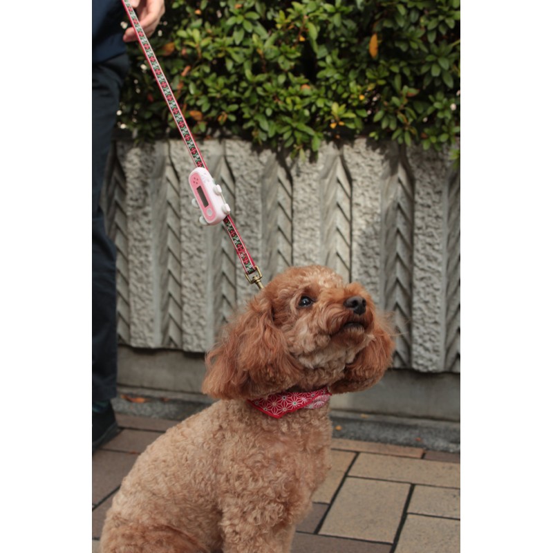 Pet Line Dog Heatstroke Checker Pink