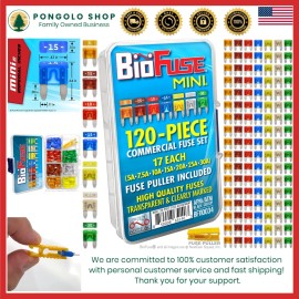 Mini Automotive Fuse Assortment 120pcs Blade Fuses Color-Coded for Car Boat RV