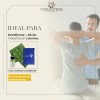 Naturalness Compresa De Semillas Columna Vertebral Pack