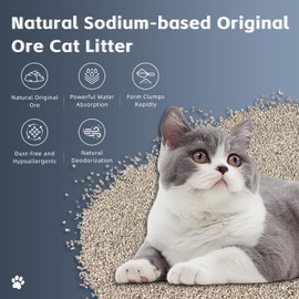 Natural Sodium-Based Raw Mineral Cat Litter | Dust-Free, Ultra Absorbent, Odor Control | Eco-Friendly, Low Tracking, Clumping Cat Litter 9.9LBS (9.9LBS_Platinum)
