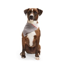 Reddy Grey Cooling Dog Bandana, X-Small/Small