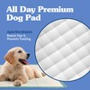 Simple Solution Extra Large Pee Pads For Dogs, Puppy Potty