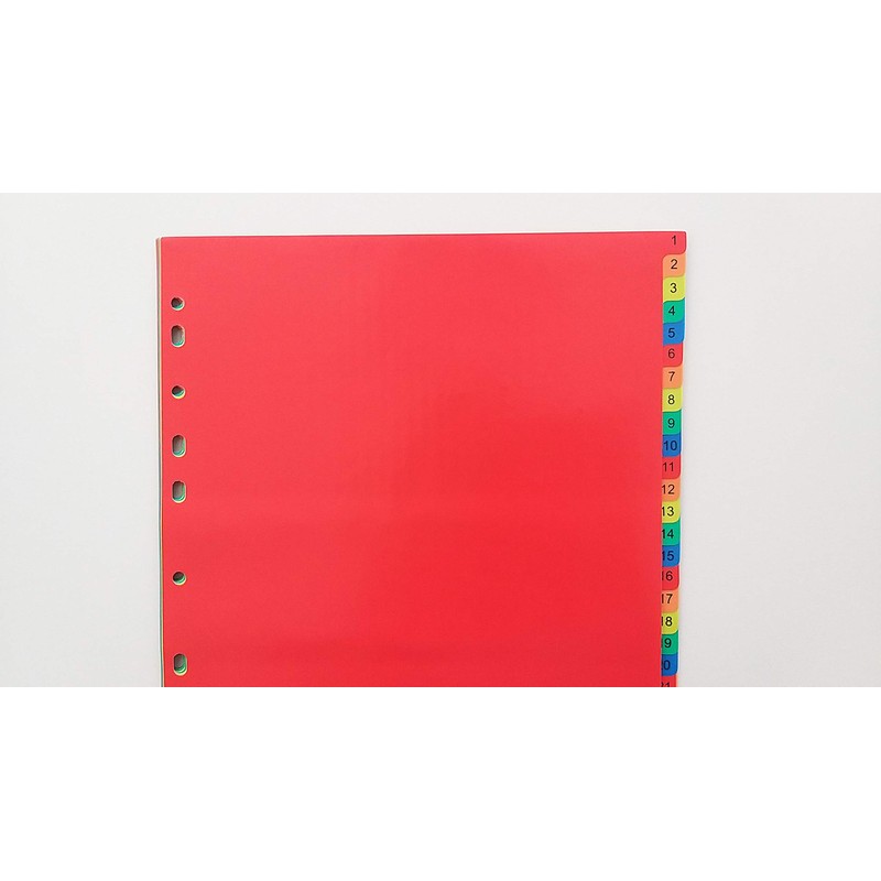 DONAU 7736095PL-99 1-31 Plastic Index Polypropylene DIN A4 230 x