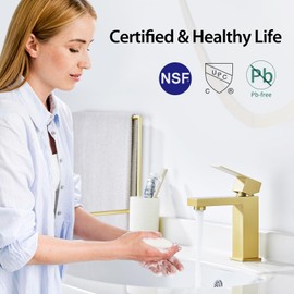 Faustina Brushed Gold Bathroom Faucet,One Hole Bathroom Faucet Single Handle Bathroom Faucet with Pop Up Drain,Bathroom Vanity Faucet 1 Hole RV Sink Faucet Restroom Basin Faucet Stainless Steel