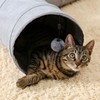 PAWZ Road Ohana schön Faltbar Katzentunnel Katzenspielzeug mit Ball Rascheltunnel