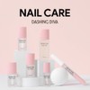 Dashing Diva Nail Care (6 Options) - Base Shield