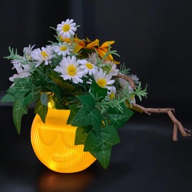 Cool Face Vase Yellow Funny Vase with Face Round Flower Pot Planter Smiley Head Funny