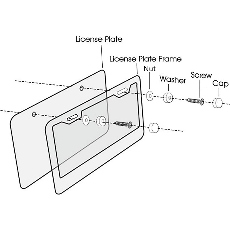 Chrome Frog License Plate Frames, 3D Horror License Plate Frames
