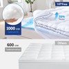 Vipfree Queen Dual Layer 4 Inch Memory Foam Mattress Topper,