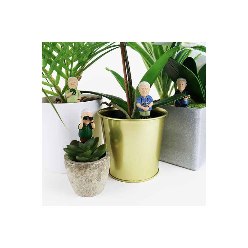 Gift Republic - Attenborough Explorers Plant Markers - These Attenborough