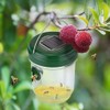 2 Pack Wasp Traps Outdoor Hanging Carpenter Bee Trap for