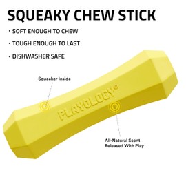 Playology Squeaky Chew Stick Dog Toy for Large to X-Large Dogs 50 lbs & up | Engaging All-Natural Chicken Scented Dog Chew Toy for Tough Chewers | Easy to Clean & Non-Toxic Materials
