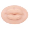 YEEFAIRY 3D Silicone Fake Lips Large with Lipstick for Makeup