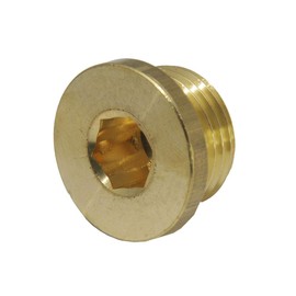 Sealing plug with hexagon socket and cylindrical thread G 1 1/2 inch, 16 bar brass
