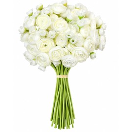Ranunculus Artificial Flowers 24 Pcs, Faux Ranunculus Flowers White Peonies, Fake Wedding Filler Flowers for DIY Bouquets,Bridal Shower Decor & Arrangements