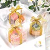 100 piezas Caja de regalo transparente con 2 rollos de