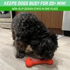 GoSports Pets PupsCream Freezable Dog Treat Station - Helps Keep