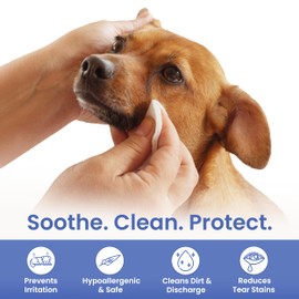 AKC Pet Eye Wipes for Dogs & Cats – Tear Stain Remover & Eye Discharge Cleaner – Hypoallergenic Grooming Wipes, 100 Count (Unscented) AKC 3 * 3" PET Eye Wipes UNSCENTED 100 Count