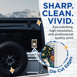 (2 Pack) The Norwegian Forest Stickers - Norwegian Forest Cat Breed - for Cat Mom or Cat Dad - 5 Inches On Longest Side - Premium Vinyl - for Cars, Skateboards, Laptops - Made in USA - BMCS1228