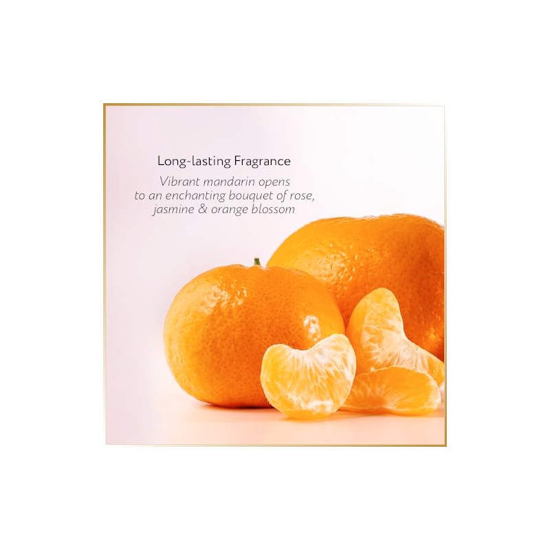 Vanderbilt Voile 100ml Tubo