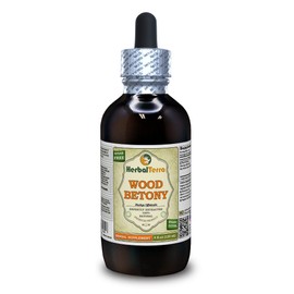 Wood Betony (Stachys Officinalis) Tincture, Organic Dried Herb Liquid Extract (Brand Name: HerbalTerra, Proudly Made in USA) 4 fl.oz (120 ml)