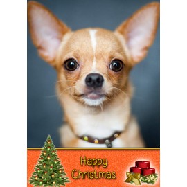 Chihuahua Dog Christmas Card 'Happy Christmas' - Special Animal Xmas Card for Him Her from Pets Kids