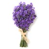 Lavanda - Aceite Esencial Puro 15 ml - Grado Terapéutico