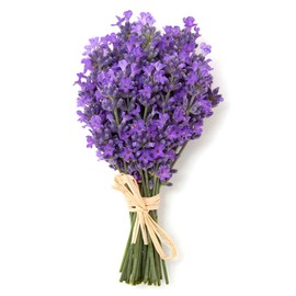 Lavanda - Aceite Esencial Puro 15 ml - Grado Terapéutico - Auténtica Aromaterapia Florium