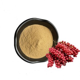 Schisandra Berry Extract Powder 1kg