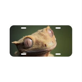 Crested Gecko License Plate Front Vehicle Auto Tag Lizard Reptile Herp FREE SHIP