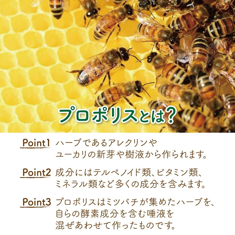 高濃度プロポリス配合 プロポリスキャンディー のど飴 ノンシュガー 個包装 (ハーブ3袋・オレンジ1袋・ブルーベリー１袋)