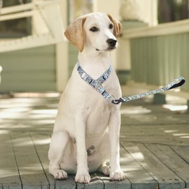 Bbmmayy No Pull Martingale Dog Collar, Slip Collar with Stop Ring for Small, Medium, Large Dogs, Love Hearts Pattern (NO25, S)