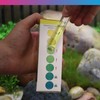 NT Labs Ammonia Test Kit, Aquarium Water Test Kit, Pond