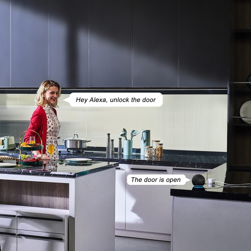 Lockin Puente WiFi compatible con G30 Smart Lock