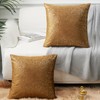 EUCIOR Gold & Brown Throw Pillows - Sparkle Gold Foil