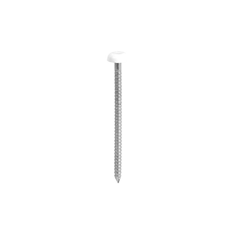 TIMCO PN50W Polymer Headed Nail 50mm - White (Box of