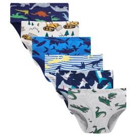 Boboking Little Boys Briefs Dinosaur Truck Toddler Kids Underwear (Pack of 6) 2T