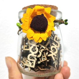 HUAIMOER Jar of Fucks, Fucks to Give Jar, Gag Gifts Wooden Cutout Letter Piece Funny Gifts for Valentines Day Bitrhday Anniversary Christmas, Coworker Gifts Office Gifts for Men Women