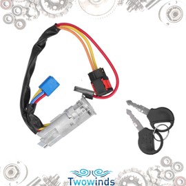 Twowinds Ignition Lock, Ignition Switch Compatible with Peugeot 206 (1998-2010), 406 Facelift (1999-2004), Citroen Xsara Picasso (1999-2005) 4162P0 Ignition Lock, Keys