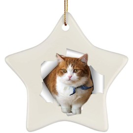 Funny Munchkin Cat White Brown Coming Out of Cracked Wall Gifts 2025 Christmas Tree Ornaments Ceramic Star