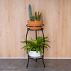 FaithLand 2 Pack Metal Plant Stands, Tall Planter Holder Indoor